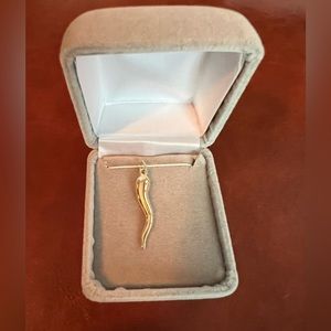 14K Italian Horn Luck Pendant Charm 1 1/4"